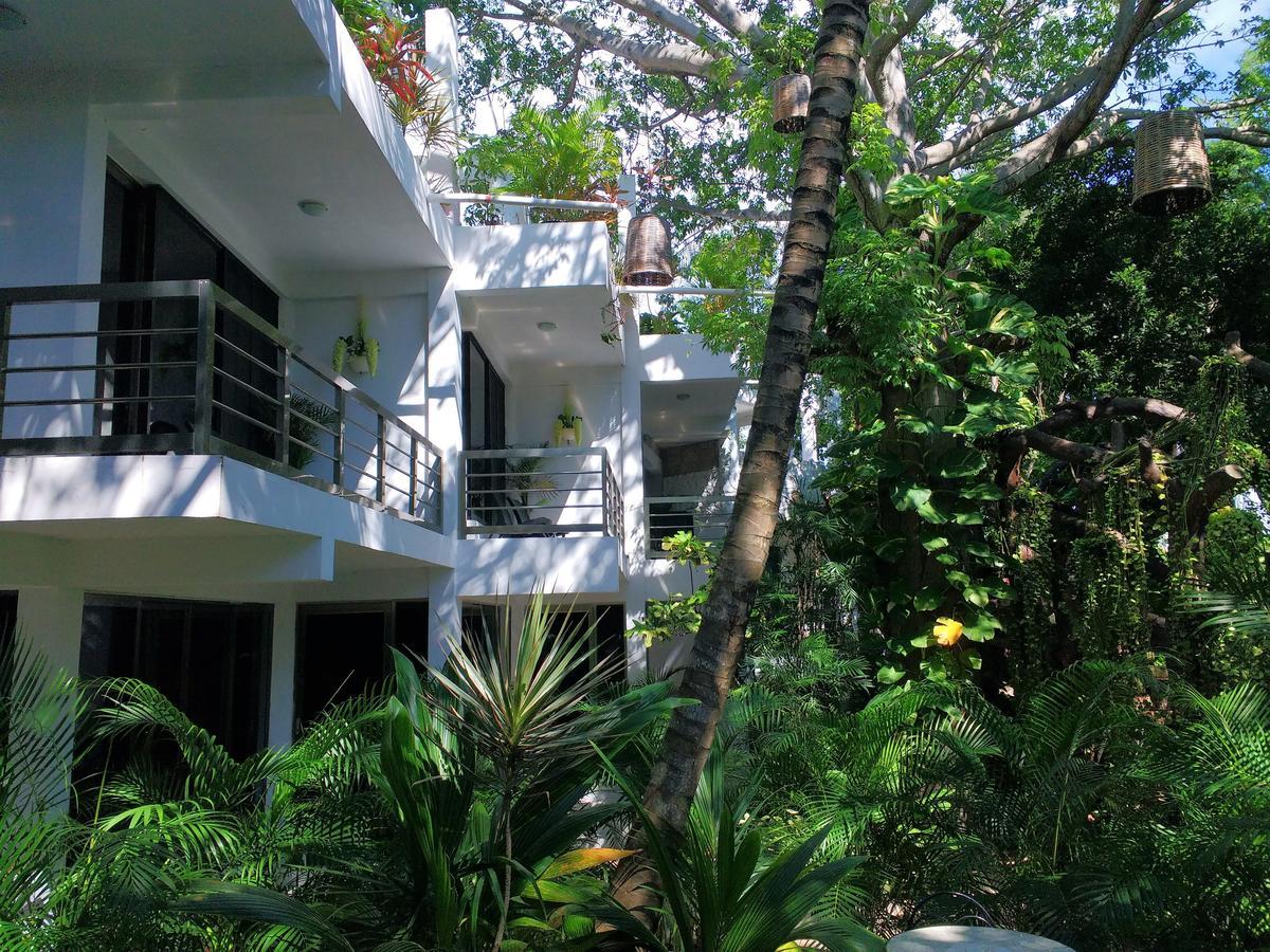 Villanovaceiba *
