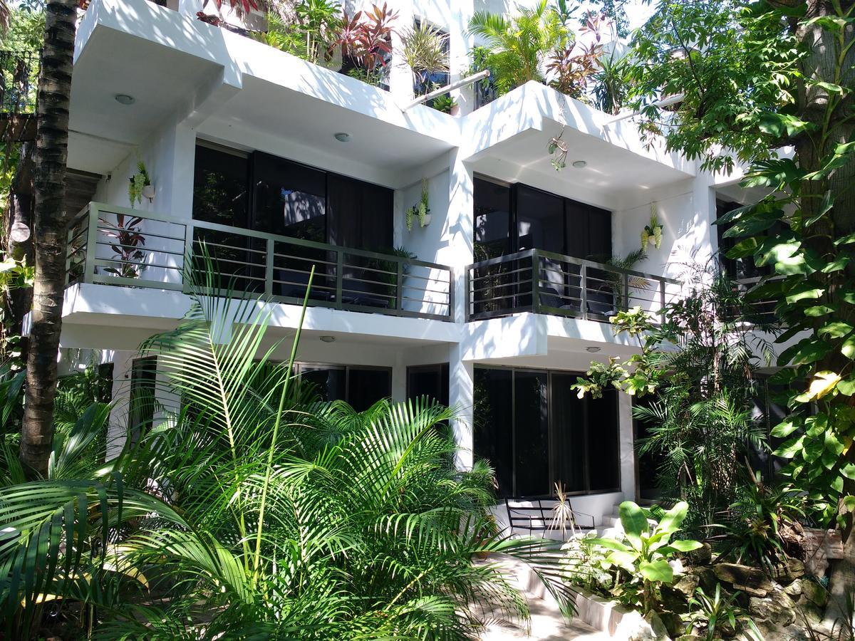 Villanovaceiba