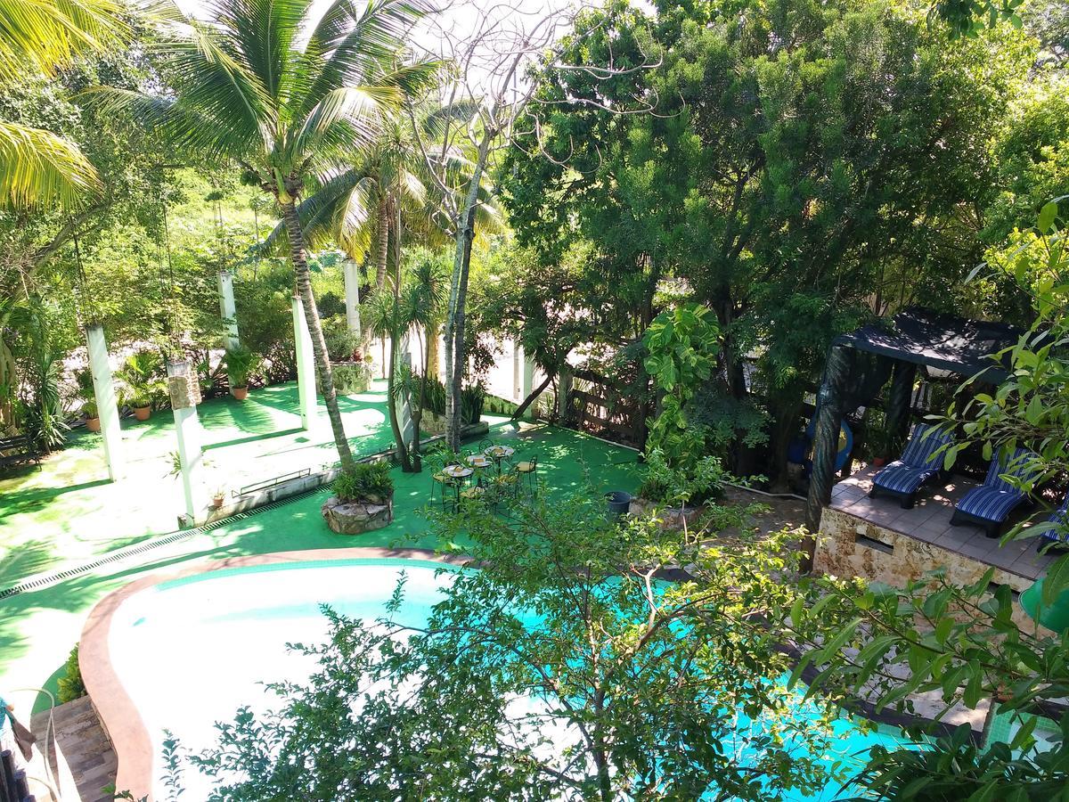 Villanovaceiba