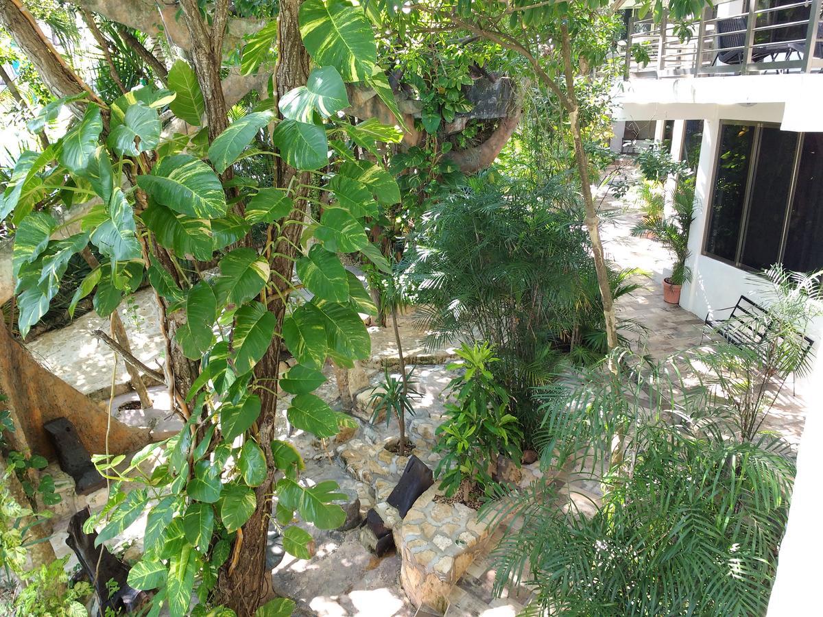 Villanovaceiba *